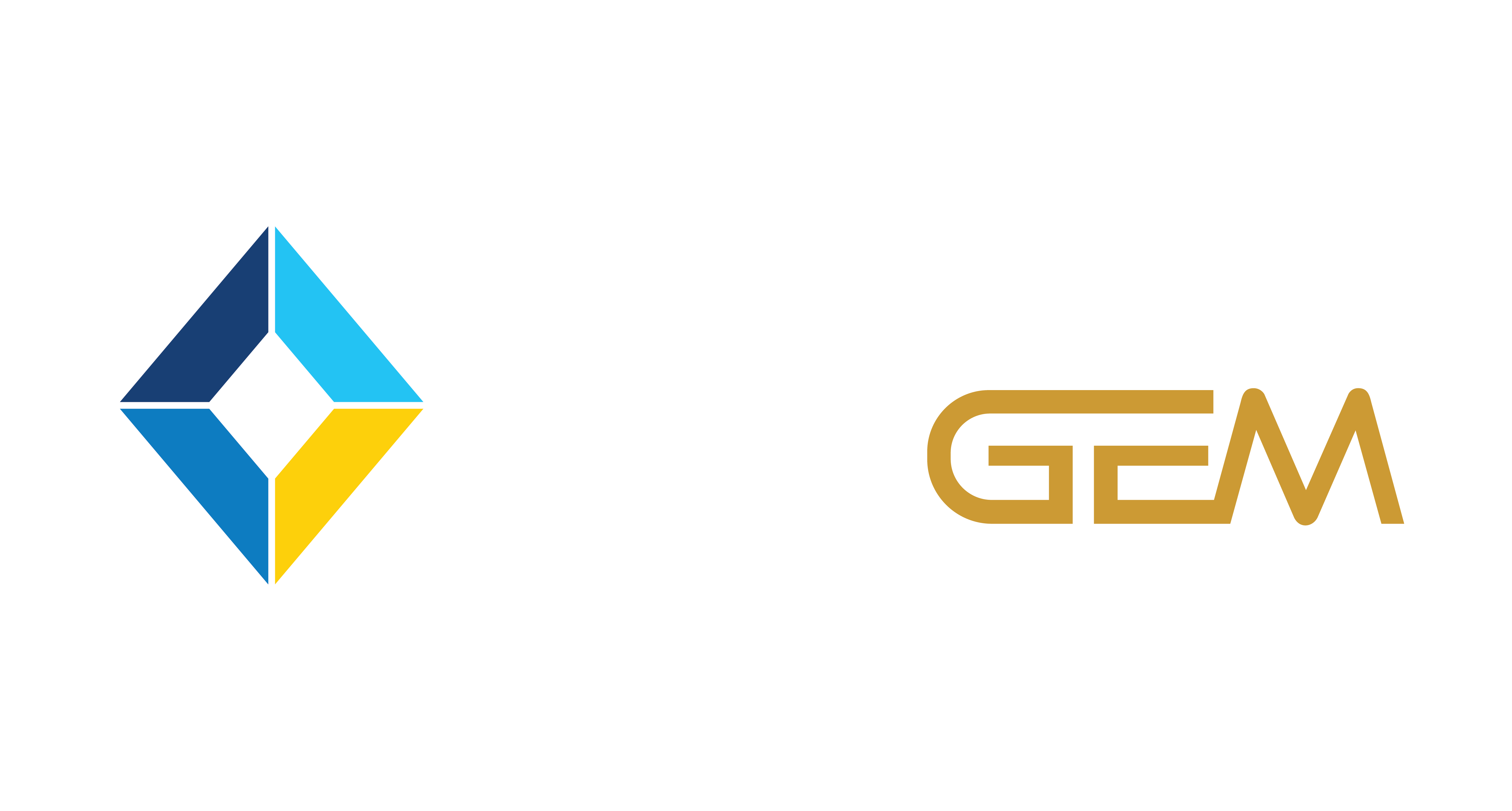 DSIGem Logo