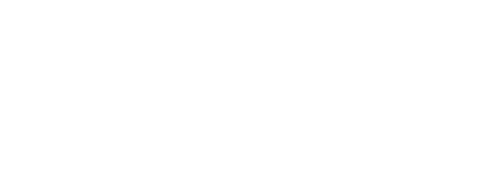 Fidium logo