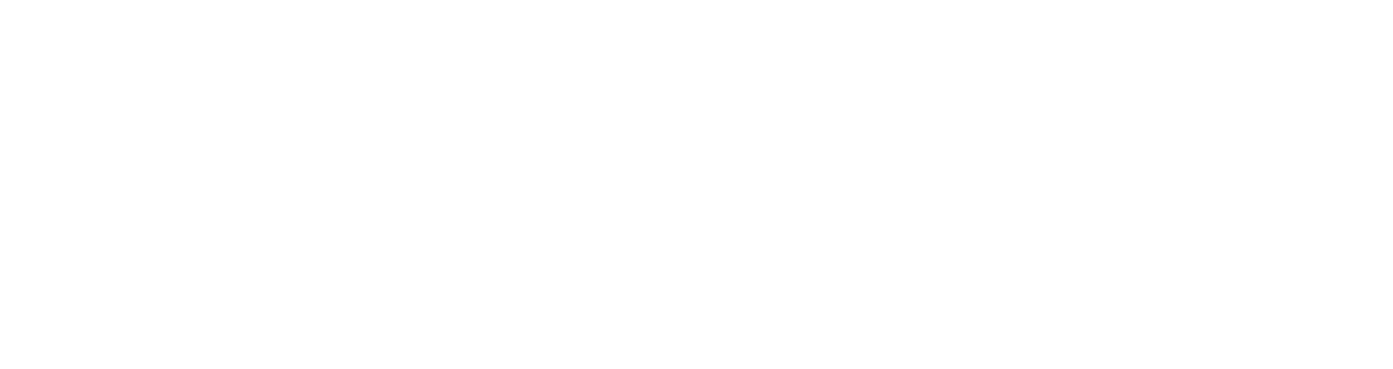 Wavenet logo