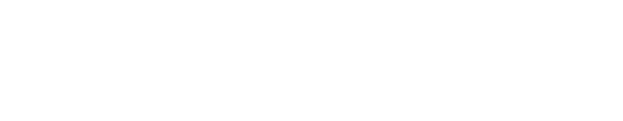 Earthlink Authorized Dealer logo